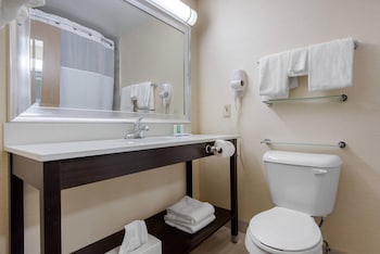 Standard Double Room, 2 Double Beds, Non Smoking