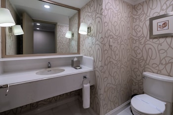 Premium Suite
