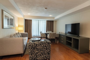 Premium Suite