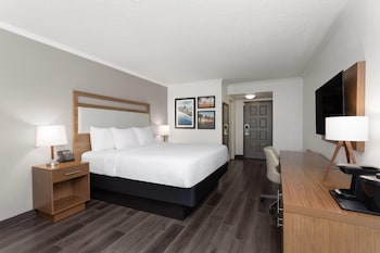 Room, 1 King Bed, Non Smoking