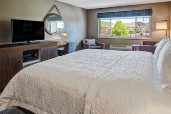 Studio, 1 King Bed, Refrigerator & Microwave Non-Smoking