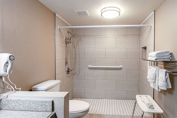 Business Room, 1 King Bed, Accessible, Non Smoking (Upgrade)