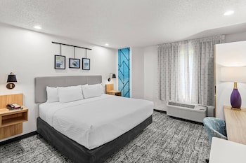 Room, 1 King Bed, Non Smoking