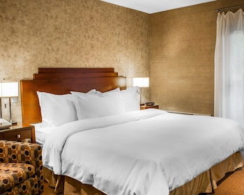 Standard King Room - Non-Smoking, Parking Lot View