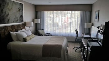 Standard Room, 1 King Bed, Refrigerator & Microwave, City View