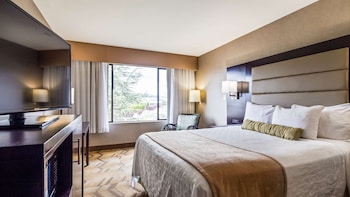 Single Room, 1 King Bed, Roll-in Shower, City View
