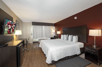 Standard Room, 1 King Bed, Accessible (Roll-In Shower, Smoke Free)