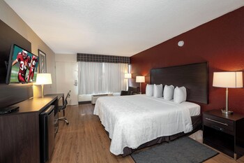 Standard Room, 1 King Bed, Accessible (Roll-In Shower, Smoke Free)