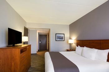 Standard Room, 1 King Bed, Accessible, Refrigerator & Microwave