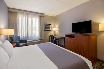 Standard Room, 1 King Bed, Accessible, Refrigerator & Microwave