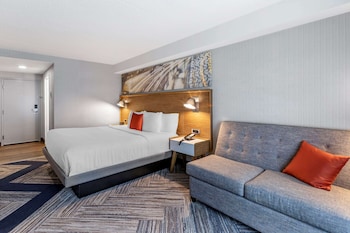 Room, 1 King Bed with Sofa bed, Non Smoking