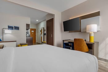 Suite, 1 King Bed with Sofa bed, Non Smoking