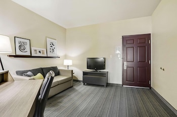 Studio, 1 King Bed with Sofa bed, Accessible, Non Smoking