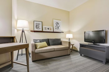Studio, 1 King Bed with Sofa bed, Accessible, Non Smoking