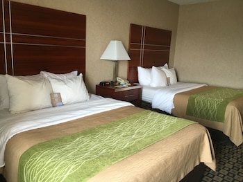 Standard Room, 2 Queen Beds