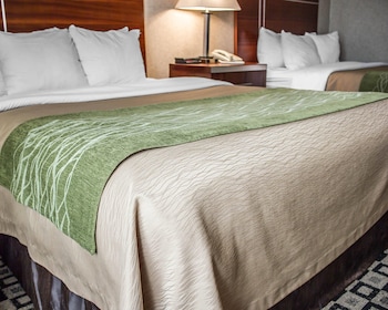 Standard Room, 2 Queen Beds