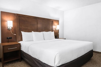 Standard Suite, 1 King Bed, Accessible, Non Smoking