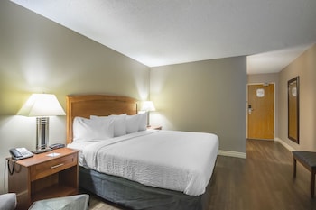 Business Room, 1 King Bed
