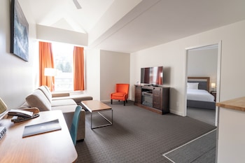 Suite, 1 Bedroom, Fireplace, Mountain View
