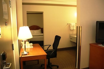 Studio, Multiple Beds, Non Smoking
