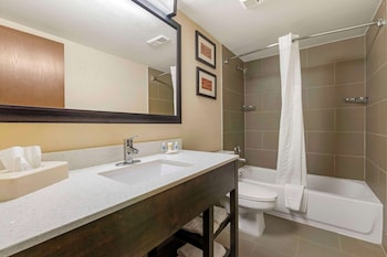 Suite, 1 King Bed with Sofa bed, Non Smoking