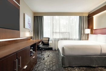 Room, 1 Queen Bed, Accessible (Mobility & Hearing, Roll-in Shower)
