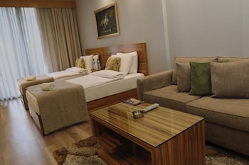 Standard King or Twin Room