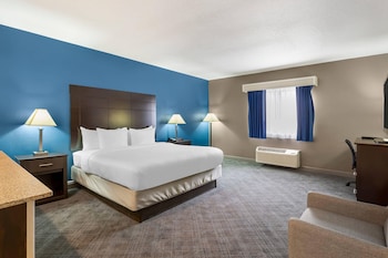 Suite, 1 King Bed with Sofa bed, Non Smoking