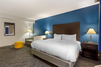 Suite, 1 King Bed with Sofa bed, Non Smoking