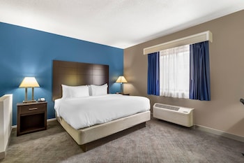 Suite, 1 King Bed with Sofa bed, Non Smoking