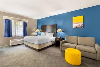 Suite, 1 King Bed with Sofa bed, Non Smoking