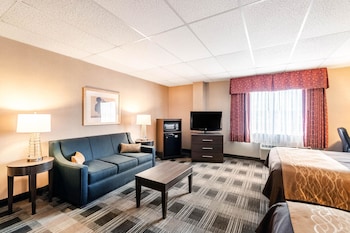 Standard Room, Multiple Beds, Non Smoking (2 Queen, 1 Person Sofa Bed)