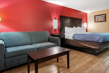 Room, 1 King Bed with Sofa bed, Non Smoking