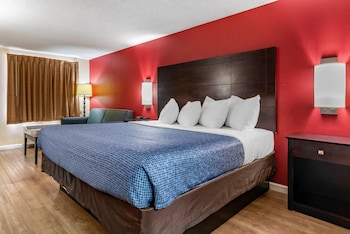 Room, 1 King Bed with Sofa bed, Non Smoking