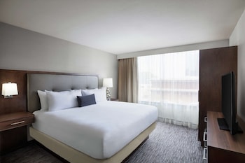 Executive Suite, 1 King Bed with Sofa bed