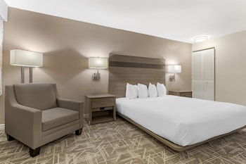 Standard Room, 1 King Bed, Accessible, Bathtub