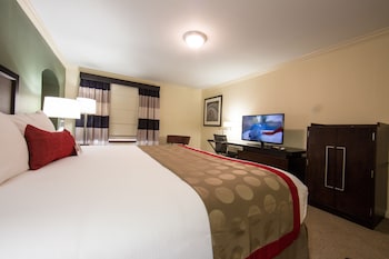 Room, 1 King Bed, Pool View
