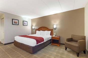 Efficiency Room with 1 King Bed - Non-Smoking