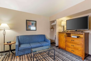 Suite, 1 King Bed, Non Smoking, Microwave (with Sofabed)