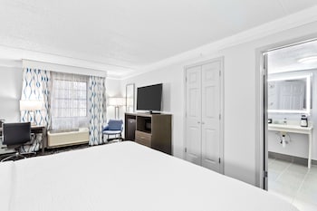 Standard Room, 1 King Bed, Accessible, Non Smoking