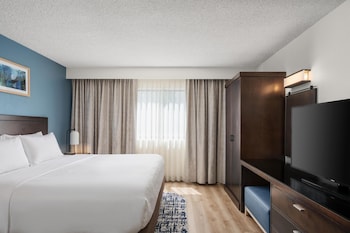 Suite, 1 King Bed with Sofa bed, Microwave