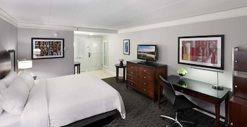 Room, 1 King Bed, Accessible