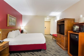 Standard Room, 1 King Bed, Non Smoking, Refrigerator & Microwave