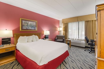 Suite, 1 Queen Bed, Refrigerator & Microwave, Poolside (with Sofabed)