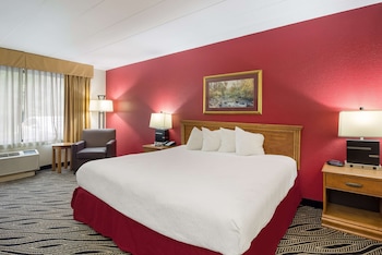 Standard Room, 1 King Bed, Non Smoking, Refrigerator & Microwave