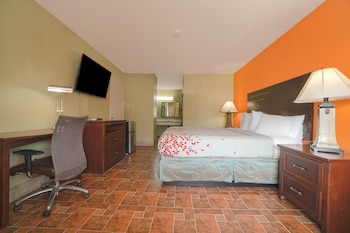Room, 1 King Bed
