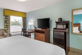 Standard Room, 1 King Bed, Accessible, Bathtub (with Sofabed)