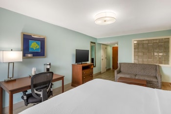 Standard Room, 1 King Bed, Non Smoking, Refrigerator & Microwave (Oversized Room;with Sofabed)