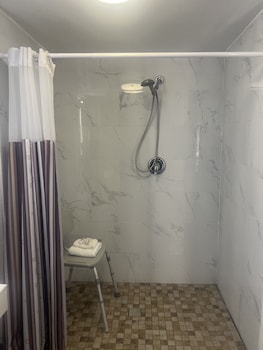 Deluxe Room, 1 King Bed, Accessible, Non Smoking (Roll-In Shower)