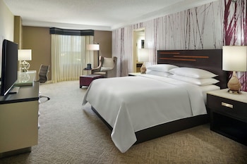 Room, 1 King Bed, Park View